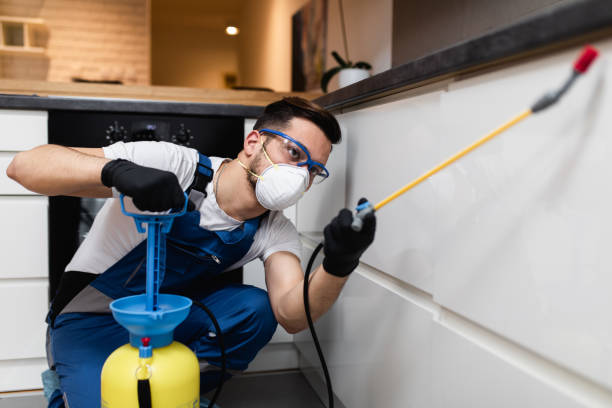 Best Affordable Pest Control Services  in Livingston, CA