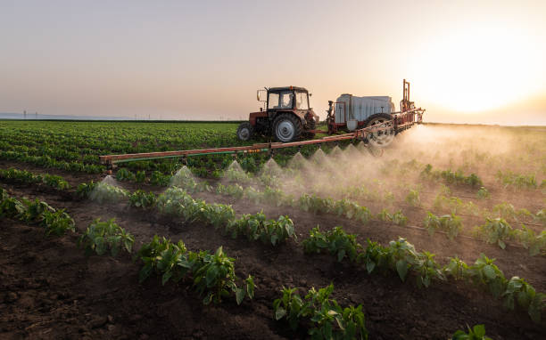 Best Commercial Pest Control Services  in Livingston, CA