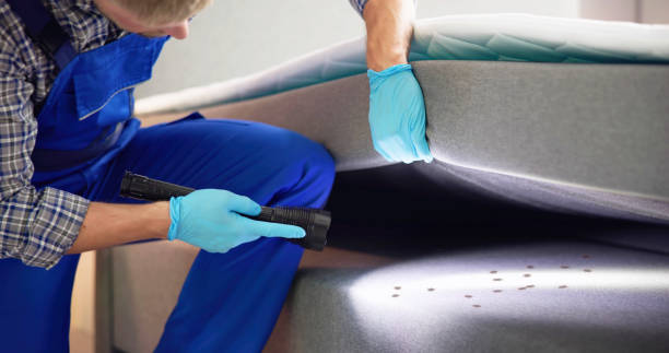 Best Wasp Removal Services  in Livingston, CA