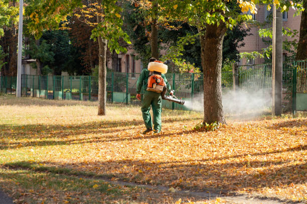 Best Affordable Pest Control Services  in Livingston, CA